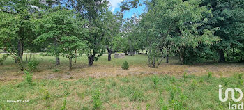 terrain à Saint-Pierre (04)