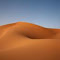 Item logo image for Arabian desert