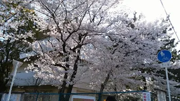 こっちを見て…