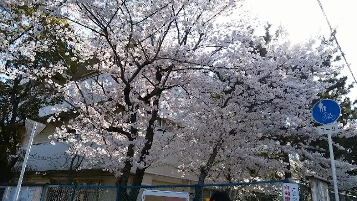 「こっちを見て…」のメインビジュアル