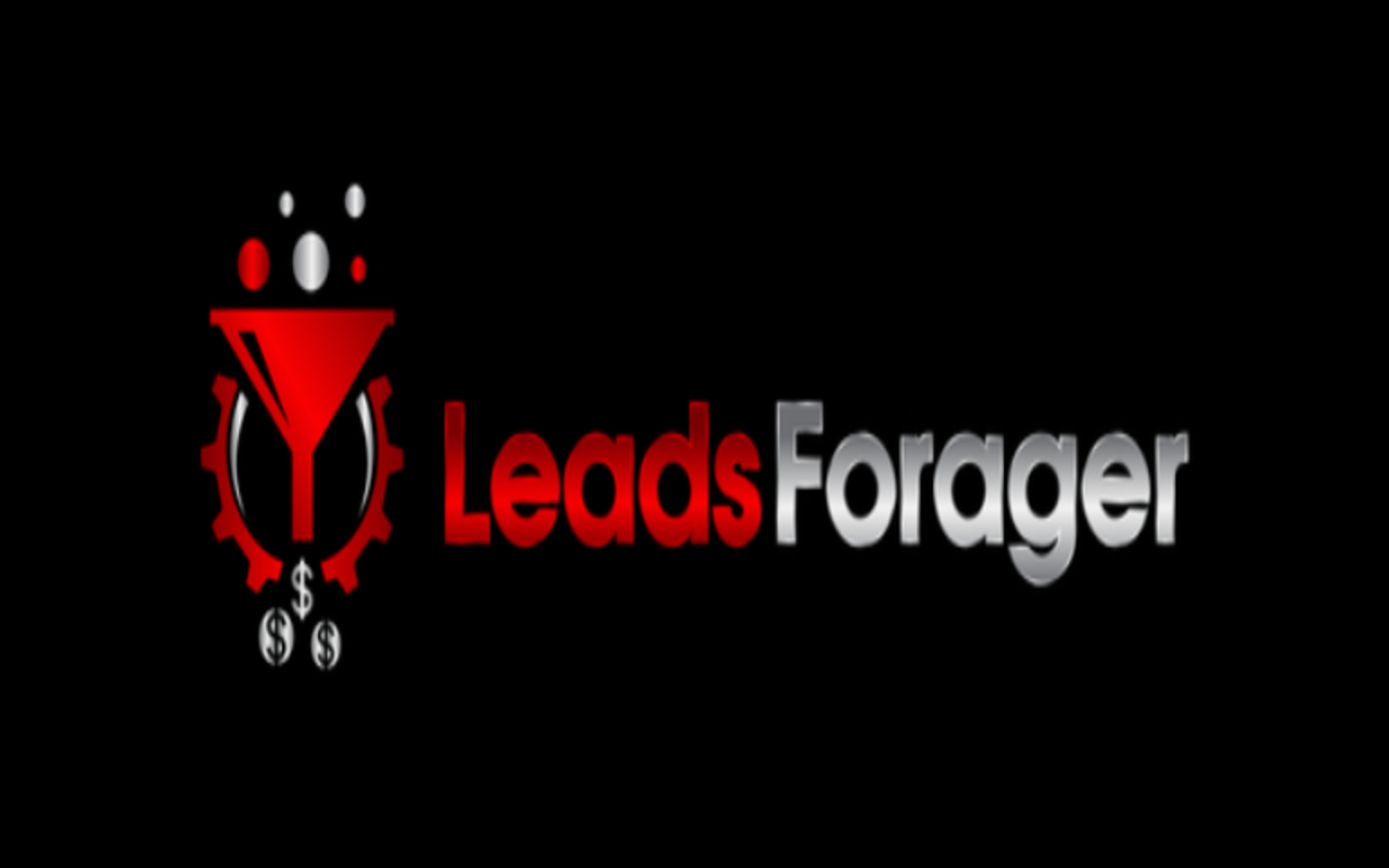 LeadsForager Preview image 3