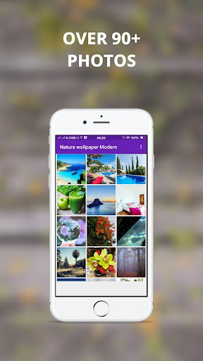 Wallpaper Nature Modern