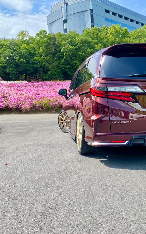 オデッセイのブリッジシリーズ３００弾を迎えて・お祝いコメントに感謝・CAR TUNEを通じての仲間達・あつぎつつじの丘公園リベンジ・毎日投稿は続きますqに関するカスタム事例の投稿画像4枚目