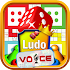 LudoVoice1.1.9
