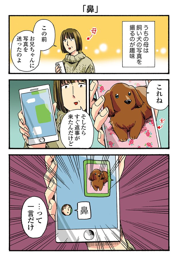 やはり犬の鼻の魅力には勝てなくて お兄様と永遠に成立しない会話 うちの兄貴の様子がおかしい Trill トリル