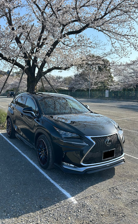 NXの4月もよろしくお願い致します🌸・桜と愛車・レクサスNX 200t・Fスポーツ・あしかがフラワーパークに関するカスタム事例の投稿画像2枚目
