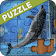 Dolphin puzzles icon