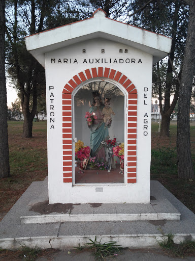 Maria Auxiliadora Patrona Del Agro