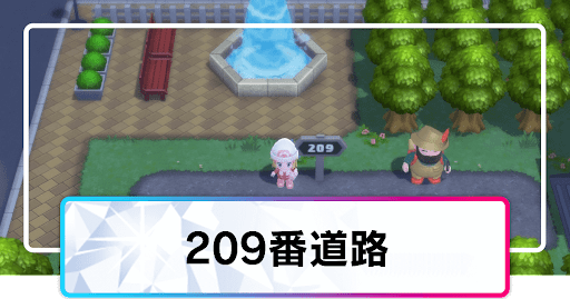 209番道路_マップ