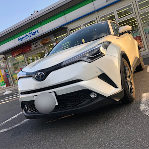 C-HR ZYX10