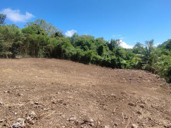 terrain à batir à Sainte Anne (971)