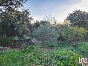 terrain à Saint-Maximin-la-Sainte-Baume (83)