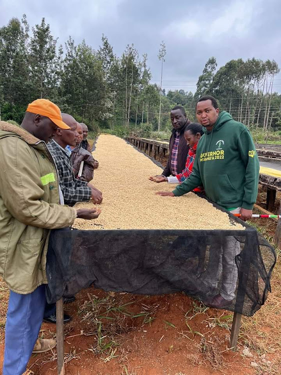Nyakera commissioning a newly installed coffee drying bed at Wanjengi coffee factory in Kiharu constituency