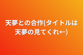 天夢との合作(タイトルは天夢の見てくれ←)