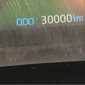 RAV4 ACA31W