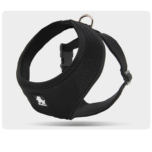 Title 6, Durable and safe towing rope for small dogs. Pr...