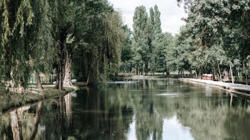 moulin à Chenon (16)