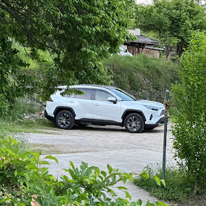 RAV4 AXAH54