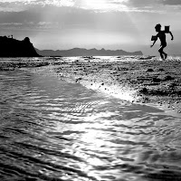 tra cielo terra e acqua  di 