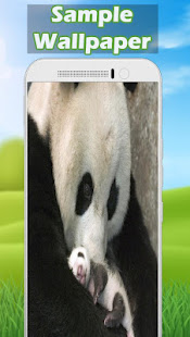Panda Wallpaper HD(圖3)-速報App