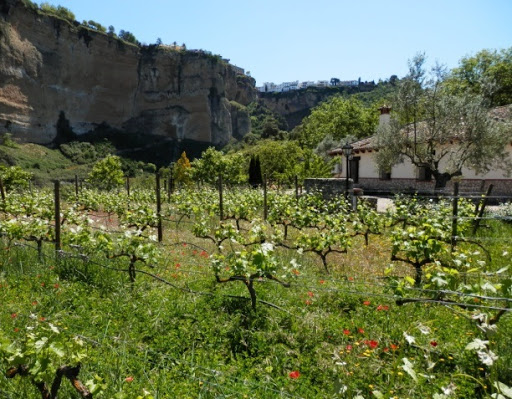 WINERIES