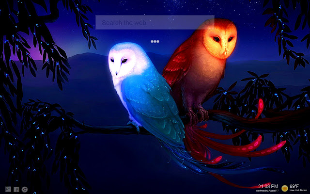 Owl Wallpapers