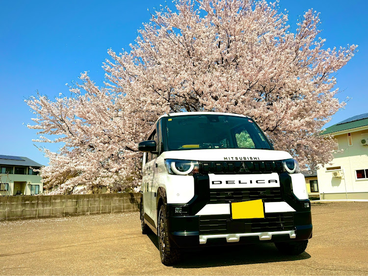 デリカミニのサクラと愛車に関するカスタム事例の投稿画像1枚目