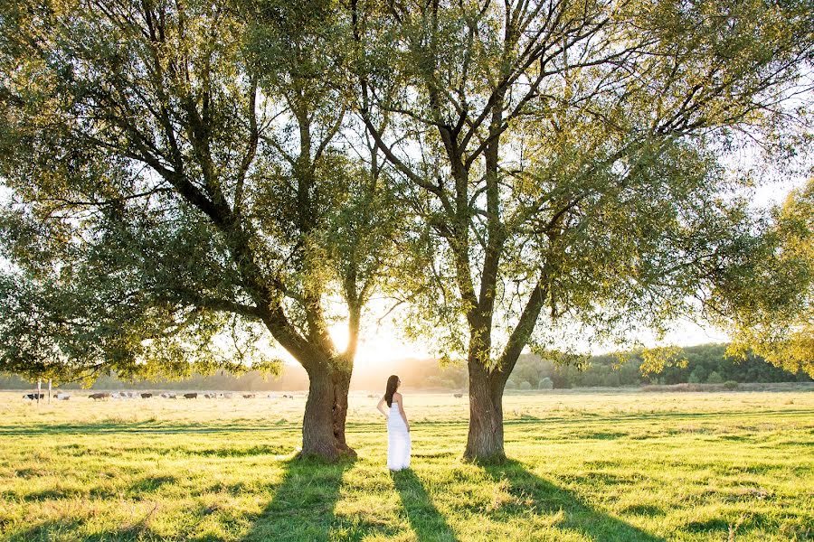 Fotógrafo de bodas Nina Polukhina (danyfornina). Foto del 18 de agosto 2017