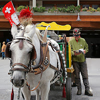  Niente auto a Zermatt, si va in carrozza di Amadeus