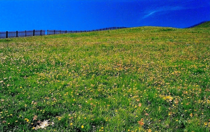 Di primavera di effe.emme