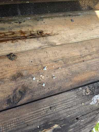 Item 18