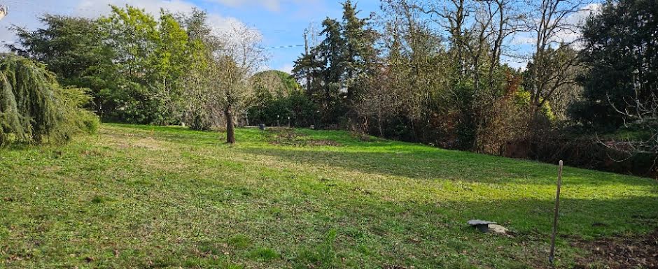 Vente terrain  1192 m² à Pechbusque (31320), 330 000 €