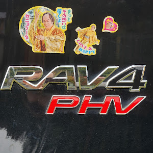 RAV4 AXAP54