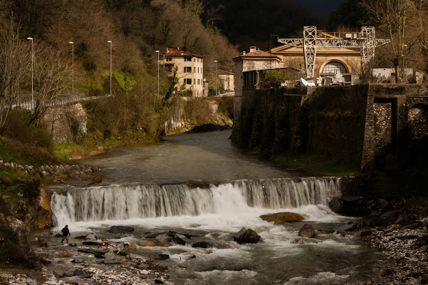 alla ricerca di pesci di marya993