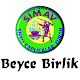 Beyce Birlik Turzim Download on Windows