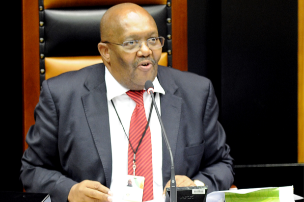 National Assembly deputy speaker Lechesa Tsenoli. Picture: GALLO IMAGES/BEELD/NASIEF MANIE