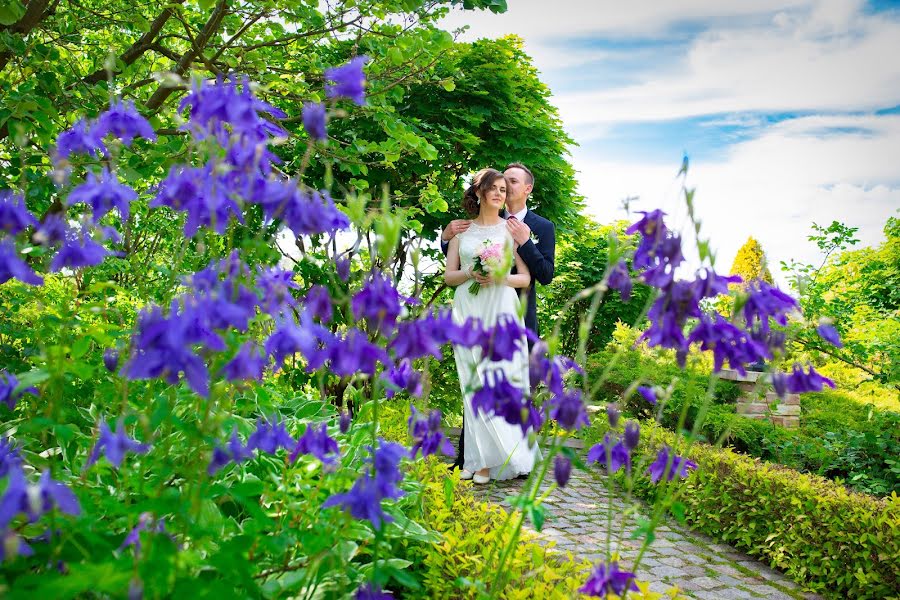 Photographe de mariage Elvira Brudova (brudova). Photo du 27 juin 2017