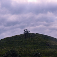 perso all' alba dalla tempesta di giovanni_messina