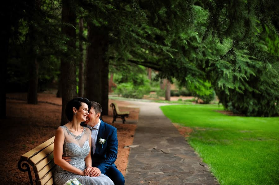 Fotografo di matrimoni Aleksey Galutva (galex2010). Foto del 29 dicembre 2015