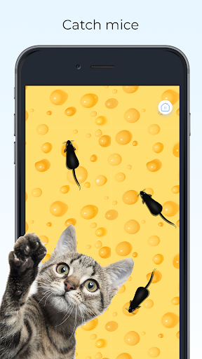 Screenshot Meow - Cat Toy Games for Cats