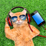 Relaxing Music For Sleeping Apk