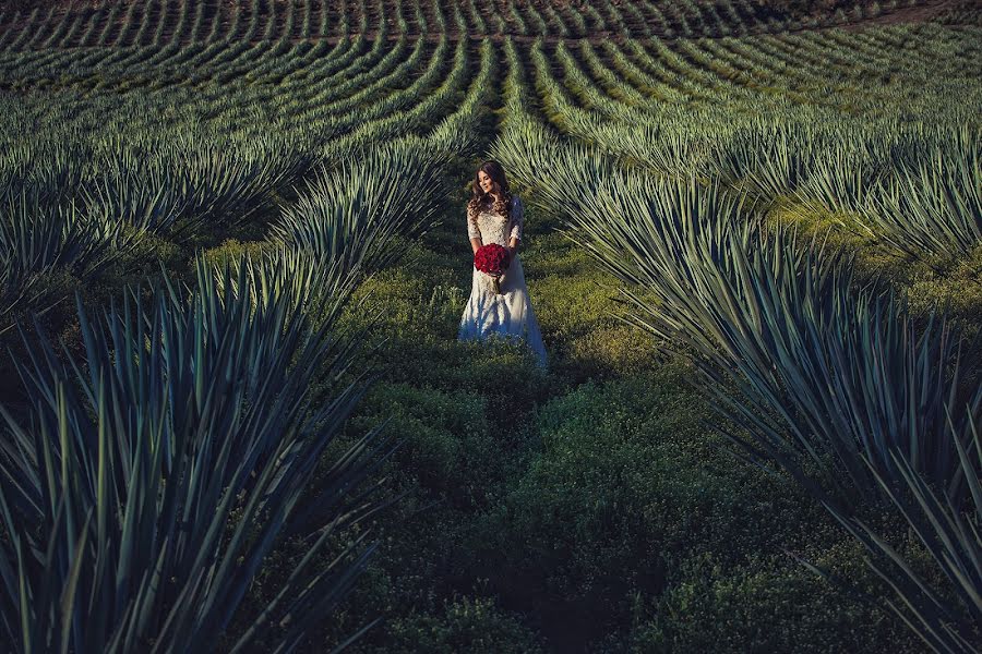 Fotografo di matrimoni Paloma Mejia (mejia). Foto del 11 agosto 2016