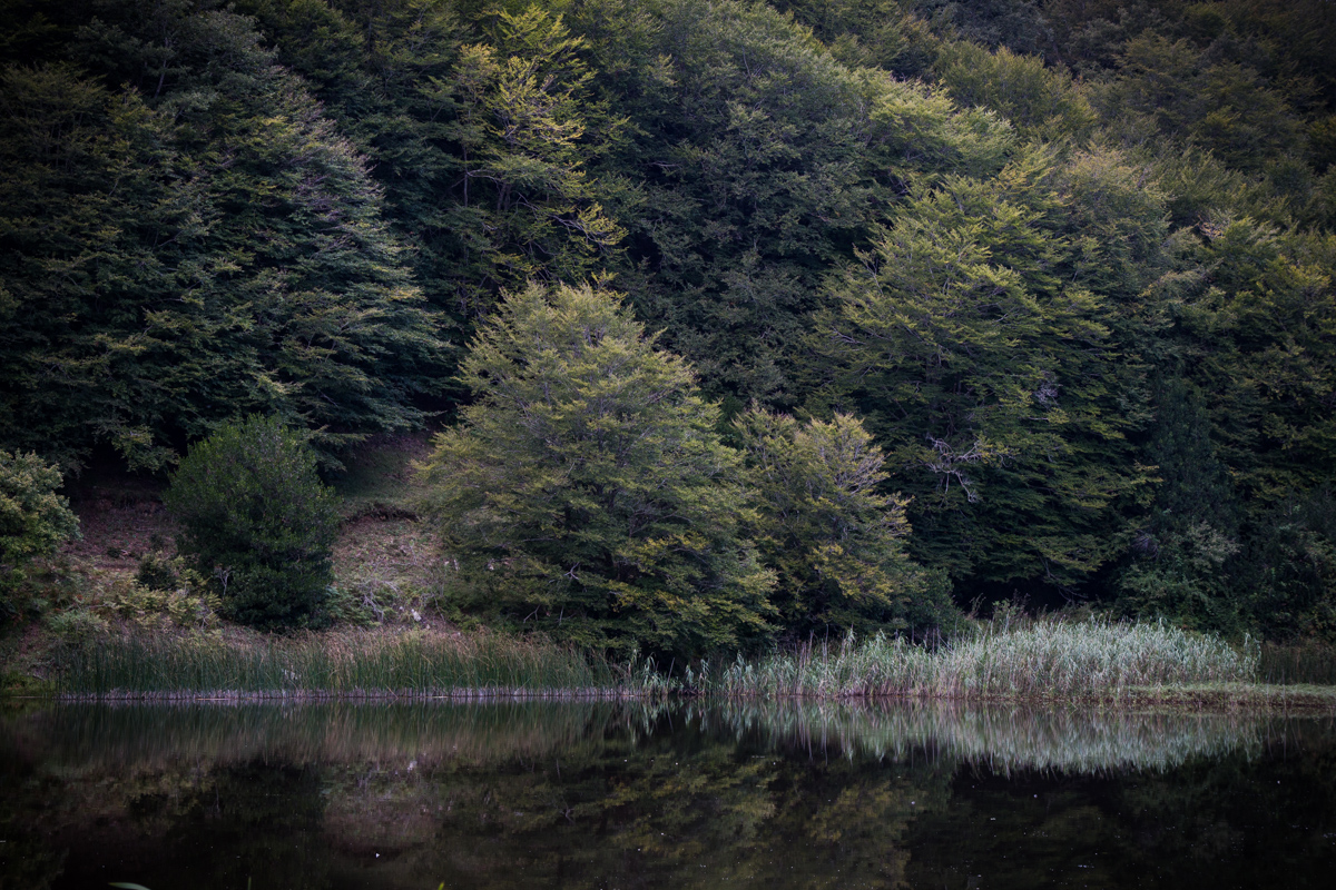 Lago Biviere di Mollicagius