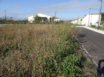 maison neuve à Dieupentale (82)