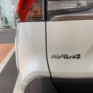 RAV4 MXAA54