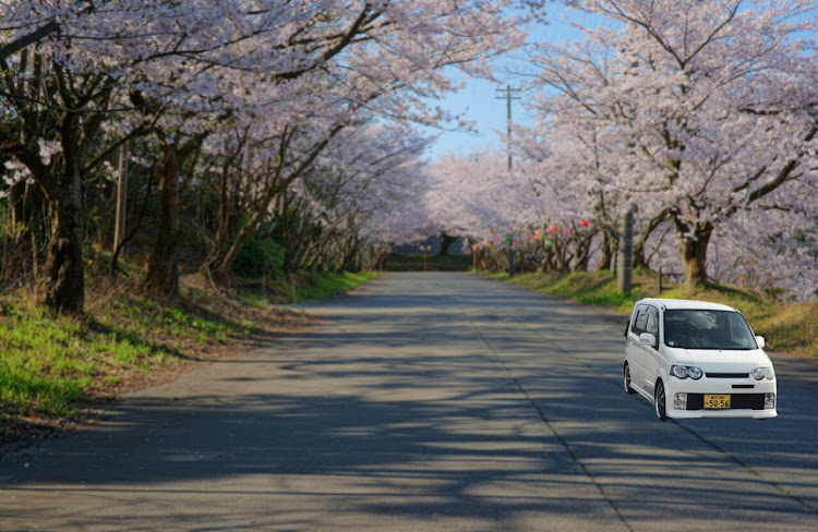 の投稿画像1枚目