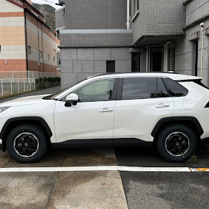 RAV4 AXAH54