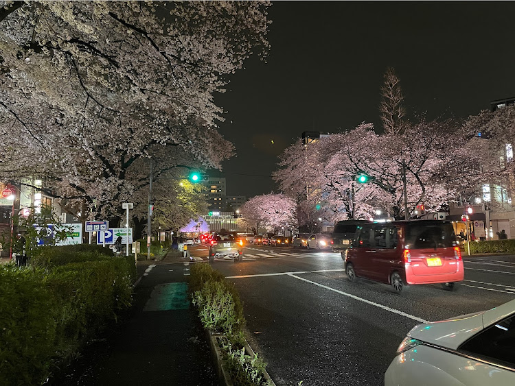 オデッセイの桜とコラボに関するカスタム事例の投稿画像3枚目