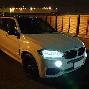 X5 F15