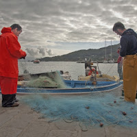 Odori del porto di 